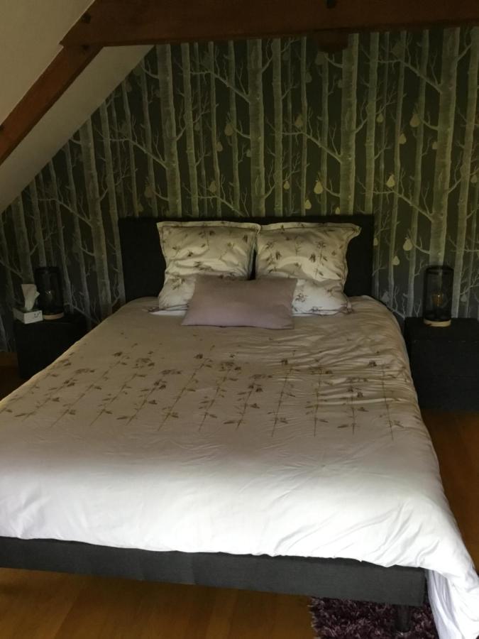 Chambre D Hote Janze Luaran gambar
